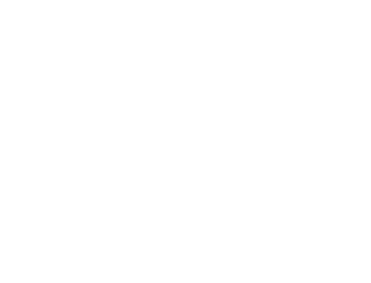 Partnerlogo pwc